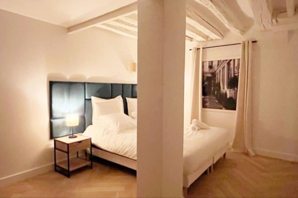 Magnificient Parisian Flat - Parisian Heart Apartment Ngoại thất bức ảnh